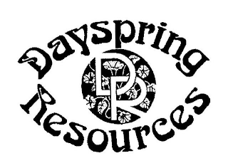 DR DAYSPRING RESOURCES logo