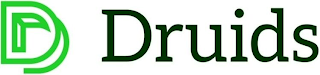 DR DRUIDS logo