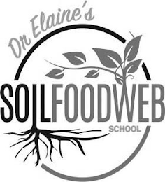 DR ELAINE'S SOILFOODWEB SCHOOL logo