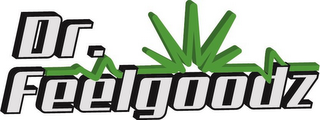 DR. FEELGOODZ logo