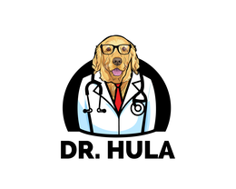 DR. HULA logo