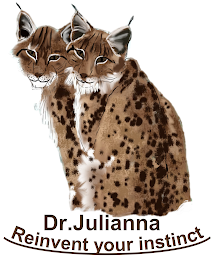 DR. JULIANNA REINVENT YOUR INSTINCT logo