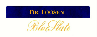 DR. LOOSEN BLUE SLATE logo