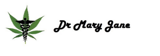 DR MARY JANE logo