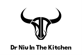 DR NIU IN THE KITCHEN logo