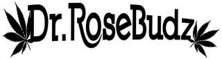 DR. ROSEBUDZ logo