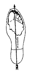 DR. SCHOLL'S logo