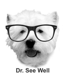 DR. SEE WELL logo