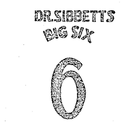 DR. SIBBETTS BIG SIX 6 logo