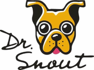 DR. SNOUT logo