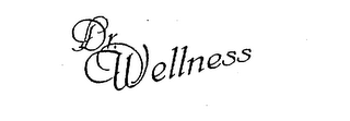 DR. WELLNESS logo