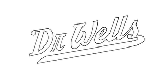 DR WELLS logo