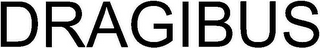 DRAGIBUS logo