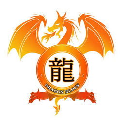 DRAGON BLOCK logo