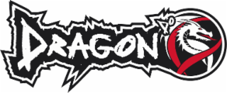 DRAGON DO logo