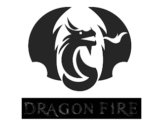 DRAGON FIRE logo