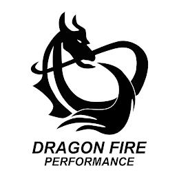 DRAGON FIRE PERFORMANCE logo