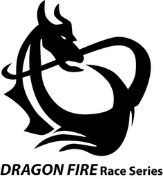 DRAGON FIRE RACE SERIES logo