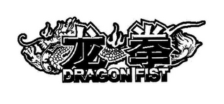 DRAGON FIST logo