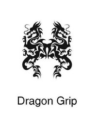 DRAGON GRIP logo