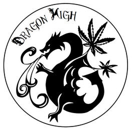 DRAGON HIGH logo