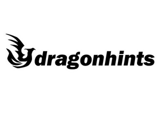 DRAGON HINTS logo