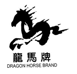 DRAGON HORSE BRAND logo