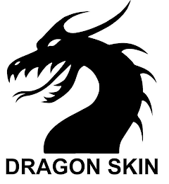 DRAGON SKIN logo
