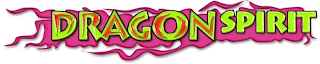 DRAGON SPIRIT logo