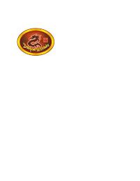 DRAGON WARRIOR logo