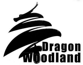 DRAGON WOODLAND logo