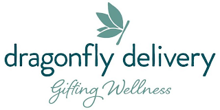 DRAGONFLY DELIVERY GIFTING WELLNESS logo