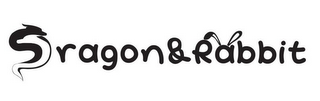 DRAGON&RABBIT logo