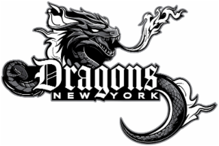 DRAGONS NEW YORK logo