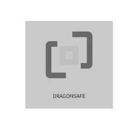 DRAGONSAFE logo