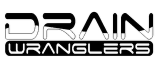 DRAIN WRANGLERS logo