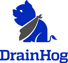 DRAINHOG logo