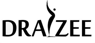 DRAIZEE logo