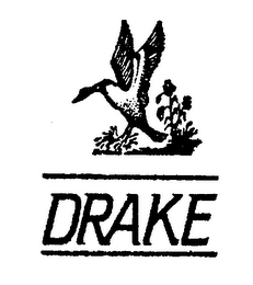 DRAKE logo