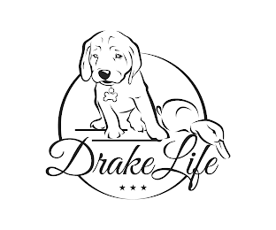 DRAKE LIFE logo