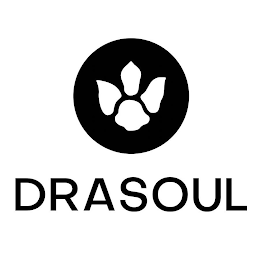 DRASOUL logo