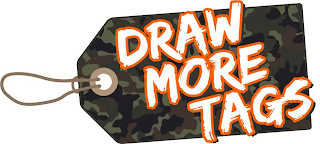 DRAW MORE TAGS logo