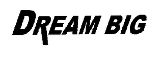 DREAM BIG logo