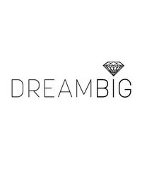 DREAM BIG logo
