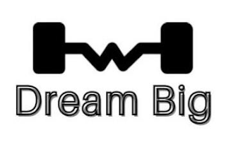 DREAM BIG logo