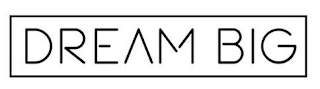 DREAM BIG logo