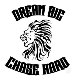 DREAM BIG CHASE HARD logo