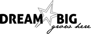 DREAM BIG GROW HERE logo