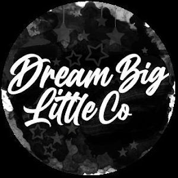 DREAM BIG LITTLE CO logo