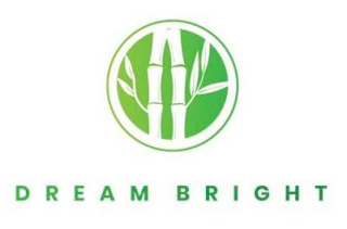 DREAM BRIGHT logo